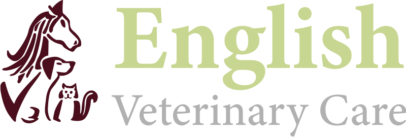 English Veterinary Care