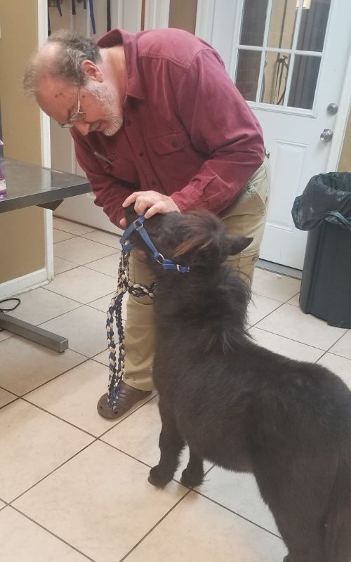 Dr. John English examining a dog